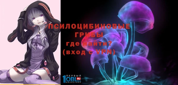 ГАЛЛЮЦИНОГЕННЫЕ ГРИБЫ Белоозёрский