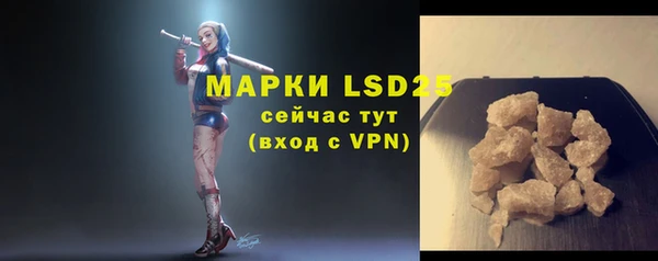 ГАЛЛЮЦИНОГЕННЫЕ ГРИБЫ Белоозёрский