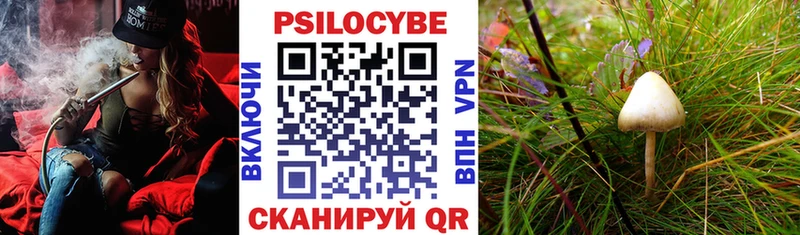 Галлюциногенные грибы ЛСД  где продают наркотики  ссылка на мегу сайт  Брянск 